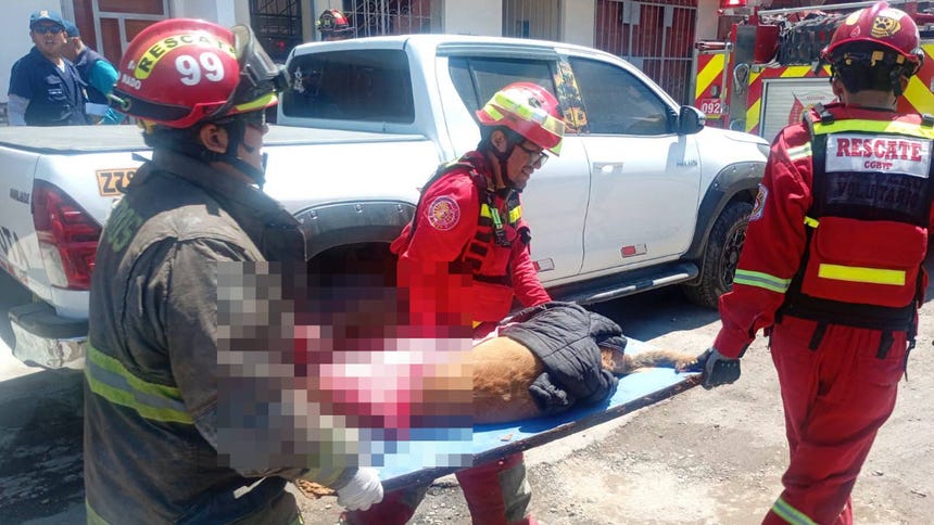 Tacna: Bomberos rescatan a perrita herida por una varilla de fierro tras caer de un segundo piso