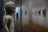 Los extensos pasillos abordan diferentes temáticas del arte narrativo, catalogadas en cinco grandes grupos: cómics, historias para la infancia, fantasía, historia y comunidad.