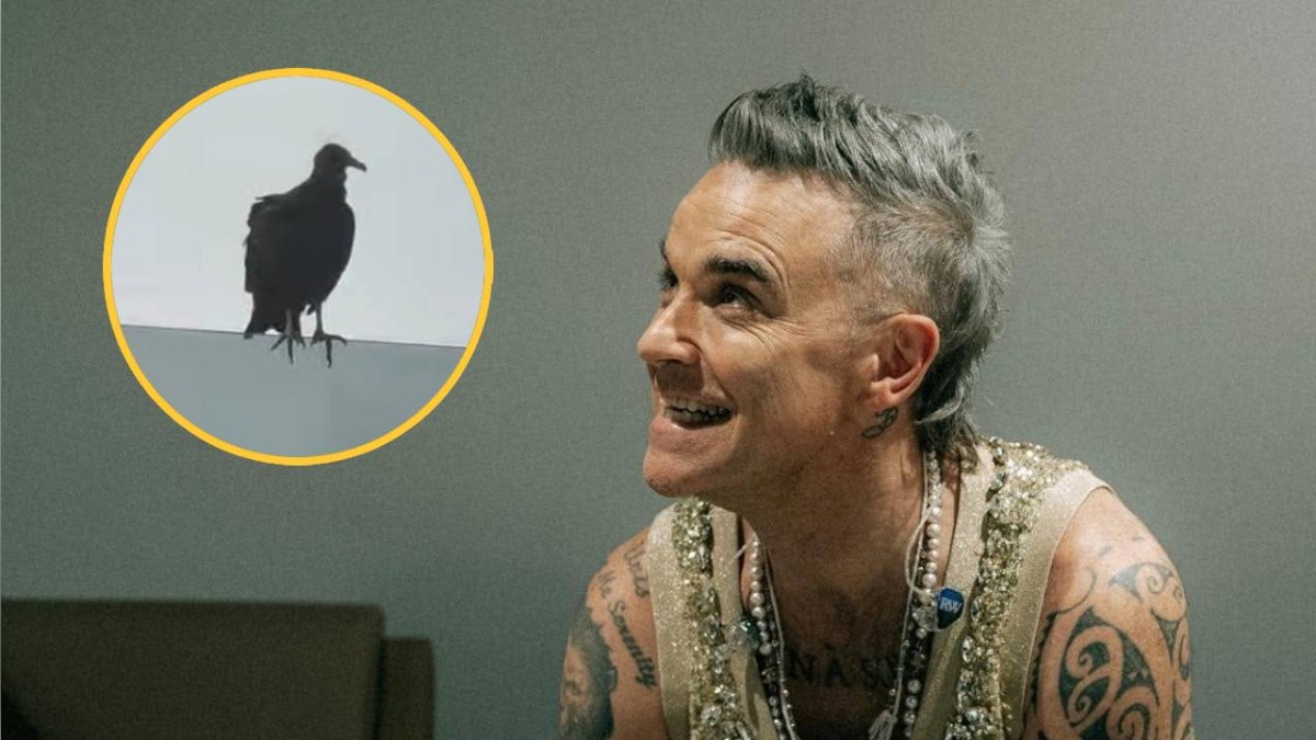 "¡Es enorme!": Robbie Williams grabó la sorpresiva visita de un gallinazo en su habitación en Lima