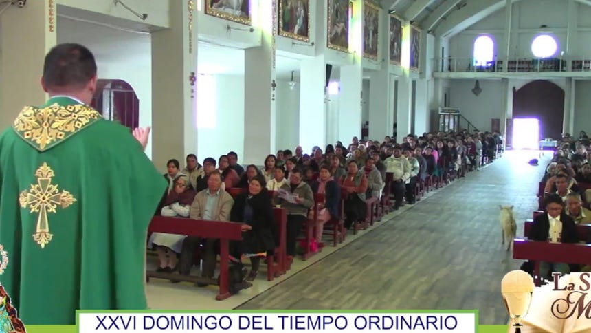 Huancayo: durante una misa, sacerdote pide a los fieles no votar “por los mismos sinvergüenzas de siempre”