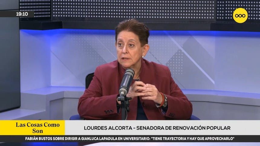 Alcorta dice que no se busca "bloquear" facultades aprobadas por Diputados: "Lo más probable es que se pueda aprobar"