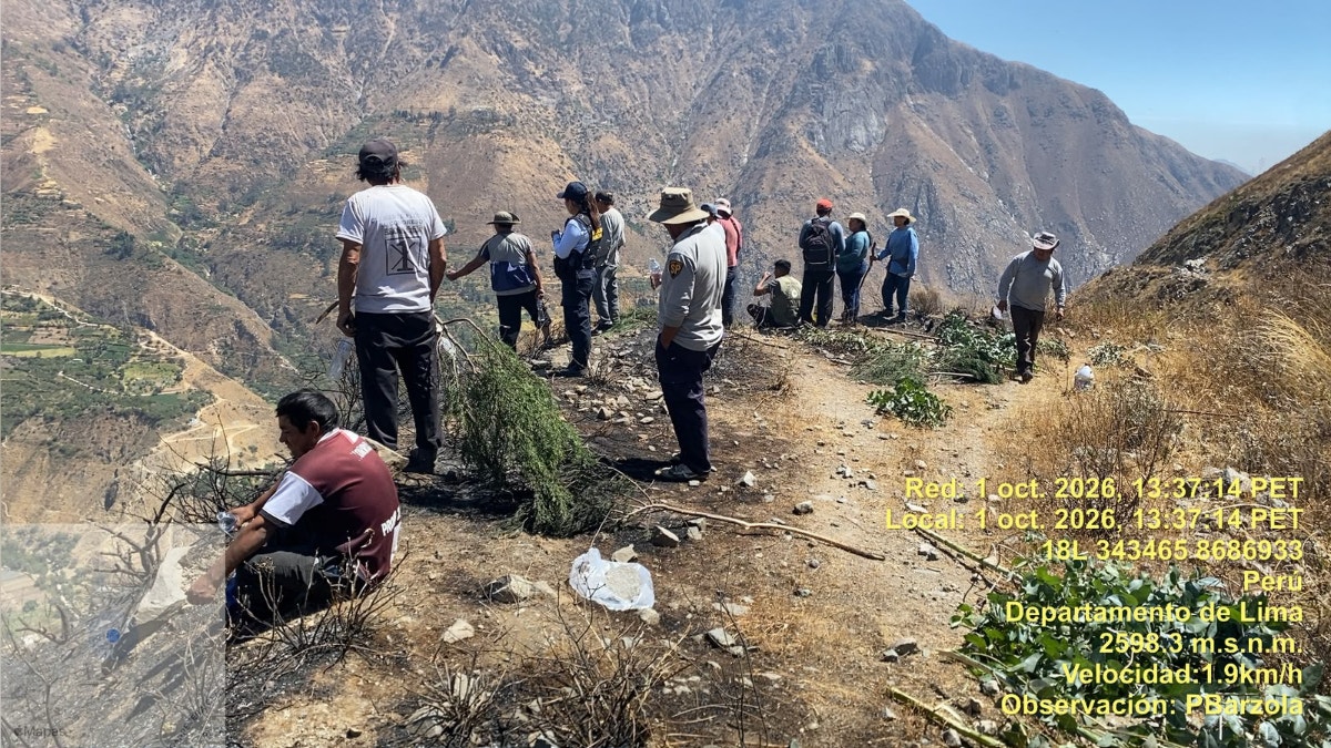 Huarochirí: pobladores arriesgan sus vidas tras intentar apagar fuego con ramas y arena