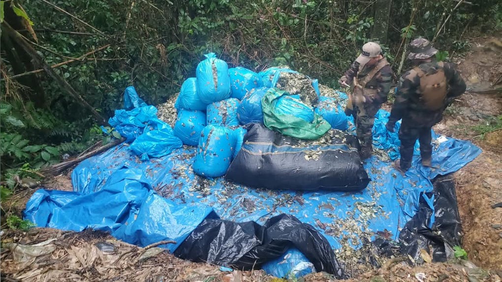Dos operativos más que se suman a la cifra del mes pasado, haciendo un total de más de 160 mil dólares de pérdida para el narcotráfico que opera entre Sandia, Lampa y la zona sur del país, agregó Ayala Carrasco.