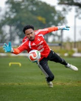 Pedro Gallese