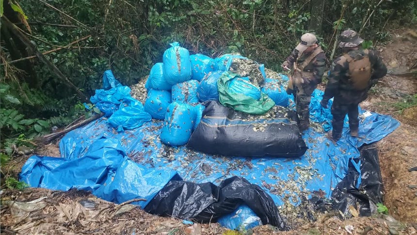 Puno: 268 kilos de droga incautada y 34 laboratorios fueron destruidos en septiembre