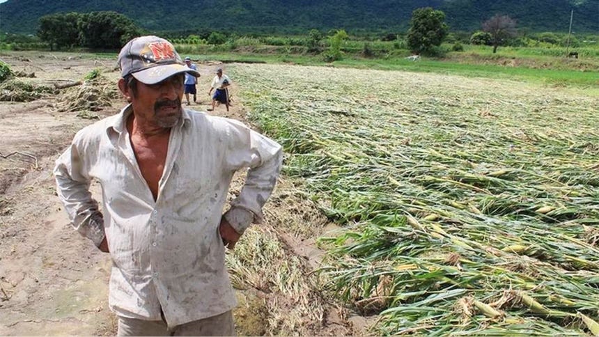 Cajas municipales avanzan con nuevo seguro paramétrico ante riesgos como el Fenómeno El Niño: se activa sin demostrar daños