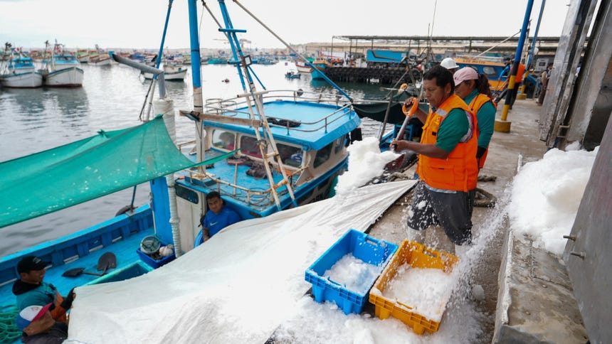 Produce autoriza continuidad de actividad extractiva de pota durante el Fenómeno El Niño 2026-2027