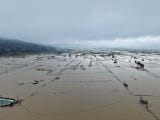 Según el servicio meteorológico griego, en las últimas 24 horas se registraron unos 22 000 rayos en la isla y en el sur del mar Egeo, donde el tiempo ha comenzado a estabilizarse este domingo, con precipitaciones menos intensas.