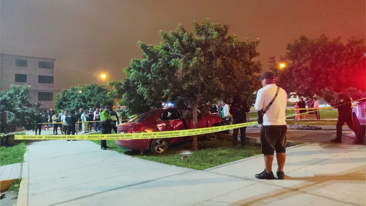 Villa El Salvador: chofer muere tras despistarse y chocar su auto contra un árbol