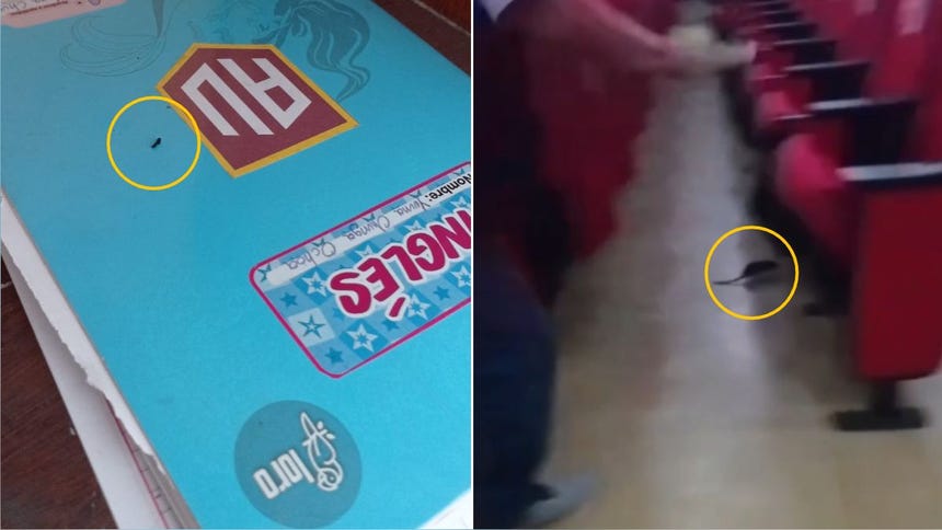 San Isidro: padres del colegio Alfonso Ugarte denuncian fuertes olores tras fumigación contra roedores