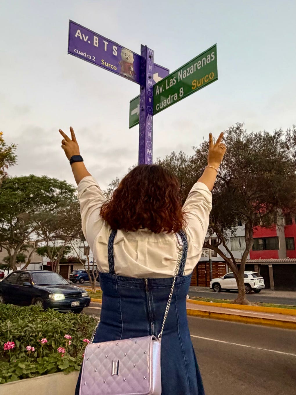 BTS llega a Lima y una calle de Surco lleva su nombre: así luce la ‘Avenida BTS’ [GALERÍA] - Foto 1