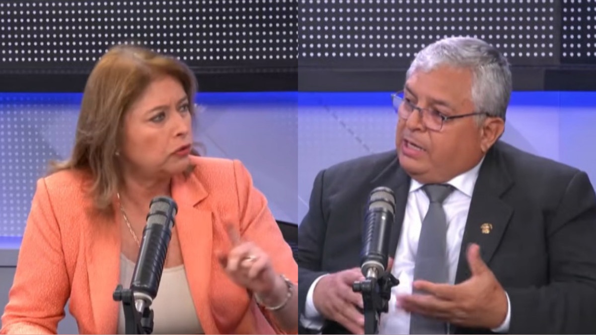 ¿Qué se espera del debate del pedido de facultades en el Senado?: esto dijeron diputados de Renovación Popular y Buen Gobierno