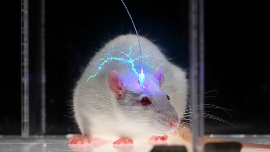 ¿Qué es la optogenética, la tecnología galardonada con el Nobel de Medicina 2026? Experto lo explica