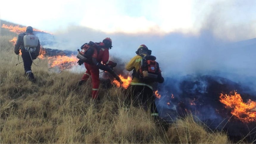 Incendios forestales dejan seis muertos en lo que va de octubre y se mantienen focos activos en cinco regiones