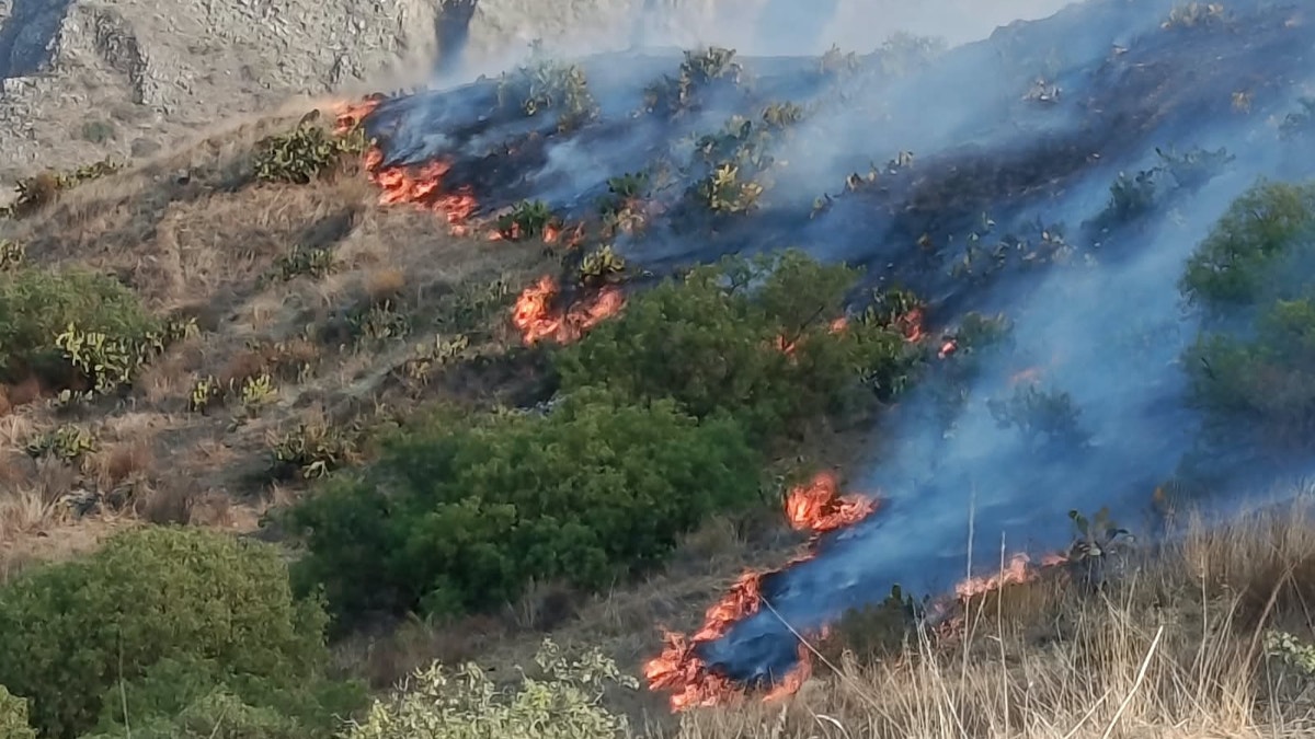 Apurímac: piden ayuda para sofocar incendio forestal que pone en peligro a sus habitantes