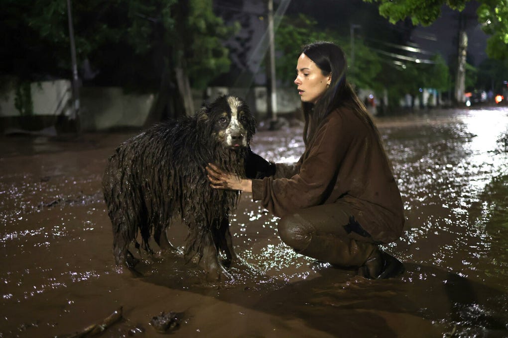 Las fuertes lluvias en Chile actualmente afectan la zona centro-sur del país, y causaron el jueves pasado un aluvión sin precedentes en el sector de San Carlos de Apoquindo, al este de la capital, que dejó seis heridos y más de 2 000 viviendas afectadas.