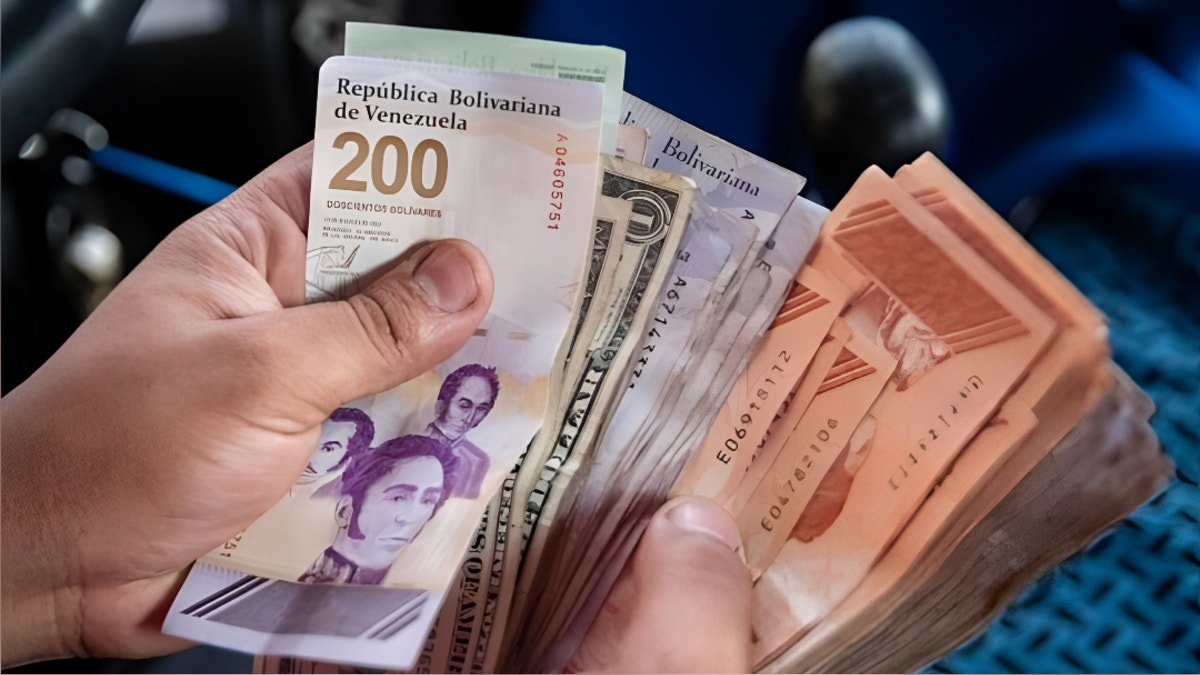 Dólar BCV hoy: ¿Cuánto cotiza el dólar oficial en Venezuela este lunes 12 de octubre?