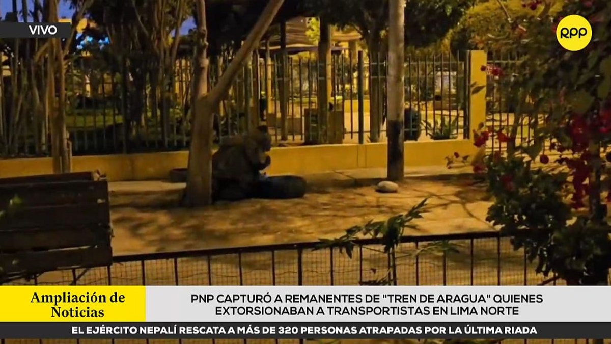 PNP desbarató peligrosa banda de extorsionadores tras operativo en Puente Piedra [VIDEO]