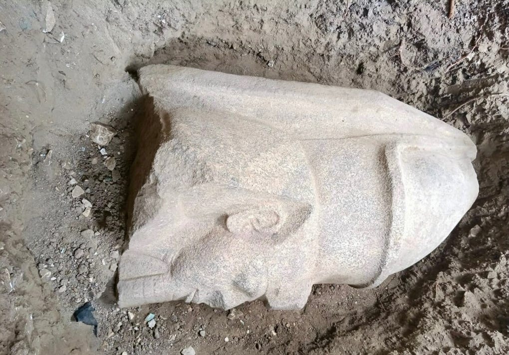 El secretario general del Consejo Supremo de Antigüedades, Hisham al Leithy, explicó en un comunicado publicado en las últimas horas que el primer hallazgo se trata de una cabeza colosal que pertenece a una estatua del rey Ramsés II, de aproximadamente 1.60 metros de altura.