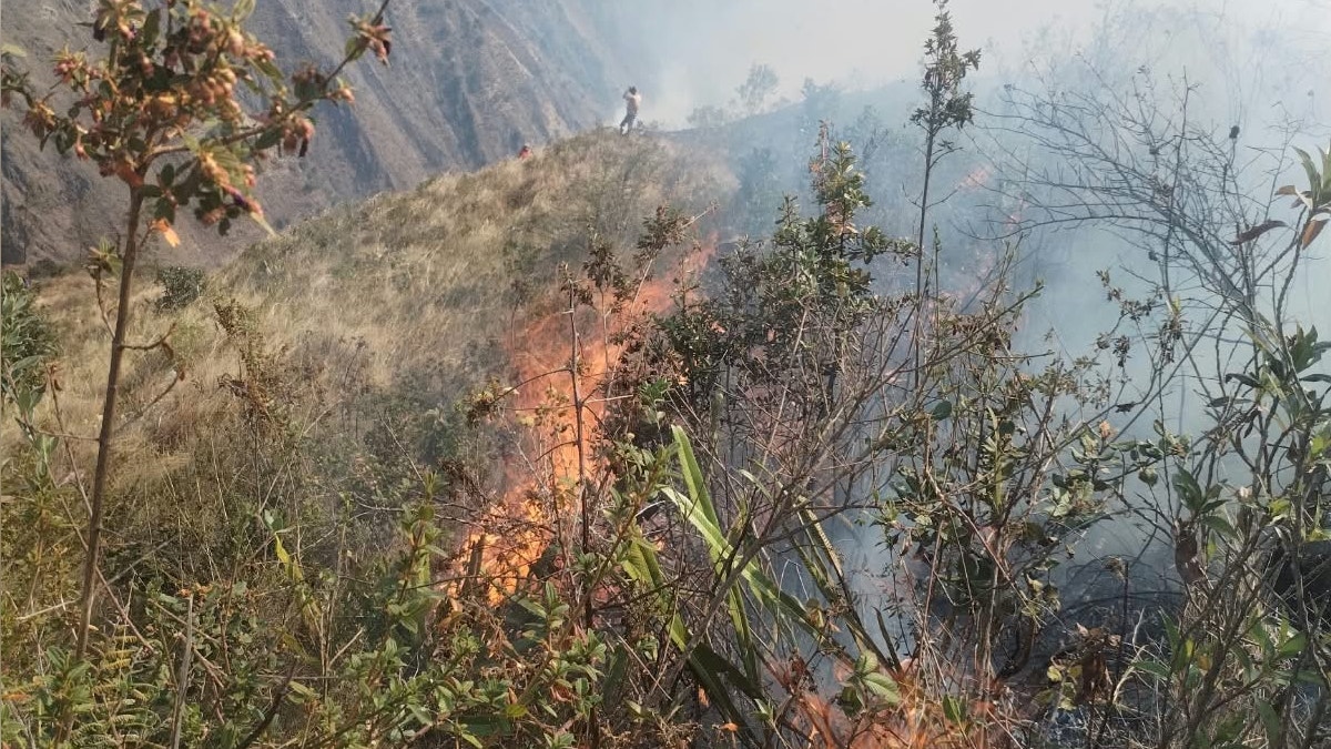 Ayacucho: cinco incendios forestales se mantienen activos en la región