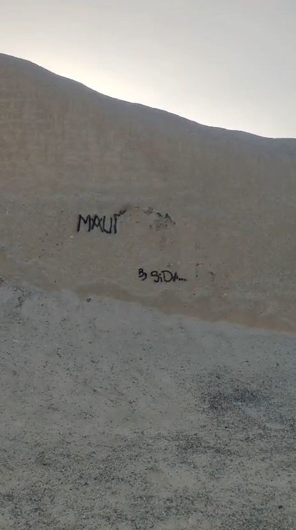 Un muro del conjunto Chol An, en Chan Chan, fue vandalizado con aerosol negro: personas inescrupulosas realizaron pintas en el complejo arqueológico de La Libertad, declarado Patrimonio Mundial por la Unesco.