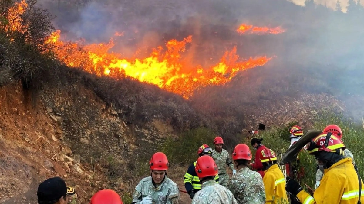 "Necesitamos un ejército de batefuegos": Perú requiere de personal capacitado para combatir incendios forestales, advierte especialista