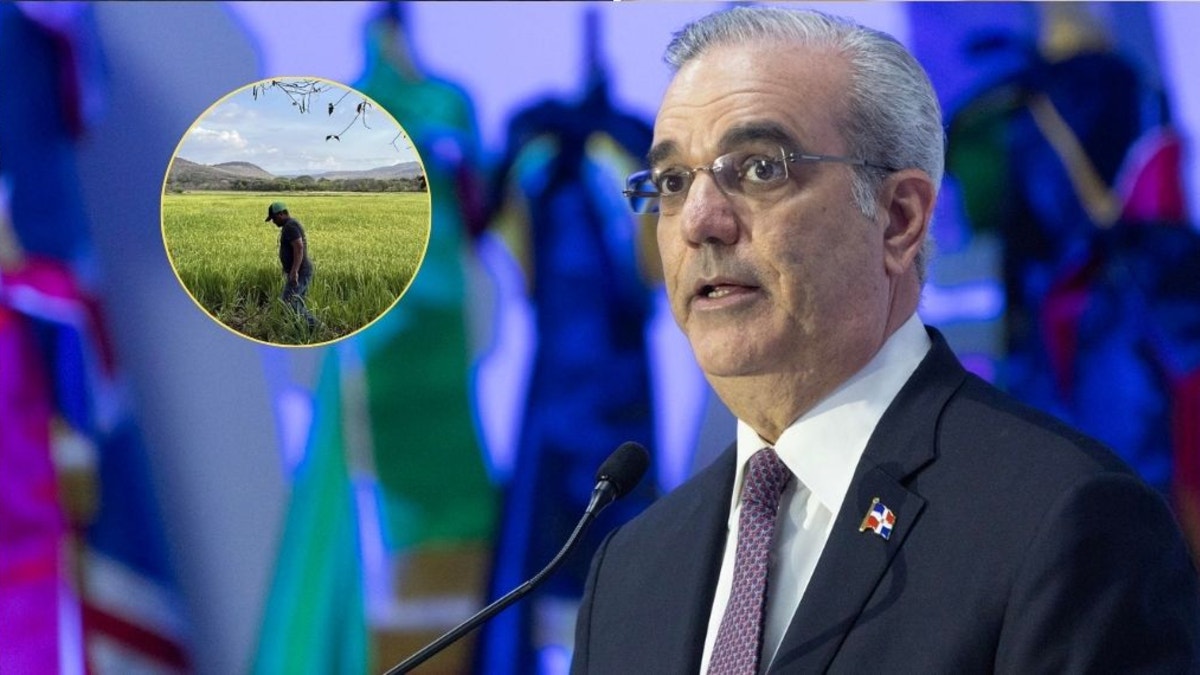 República Dominicana anuncia medidas para proteger a sus arroceros tras eliminar aranceles a EE. UU.