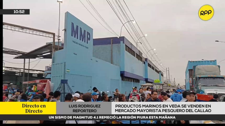 Productos marinos en veda se venden en Mercado Mayorista Pesquero del Callao
