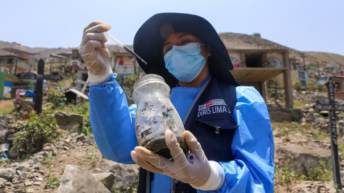 Minsa emite alerta epidemiológica por riesgo de incremento de enfermedades ante el fenómeno El Niño