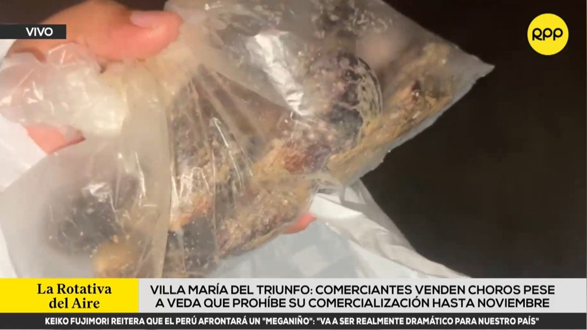 Villa María del Triunfo: comerciantes venden choros pese a veda que prohíbe su comercialización hasta noviembre