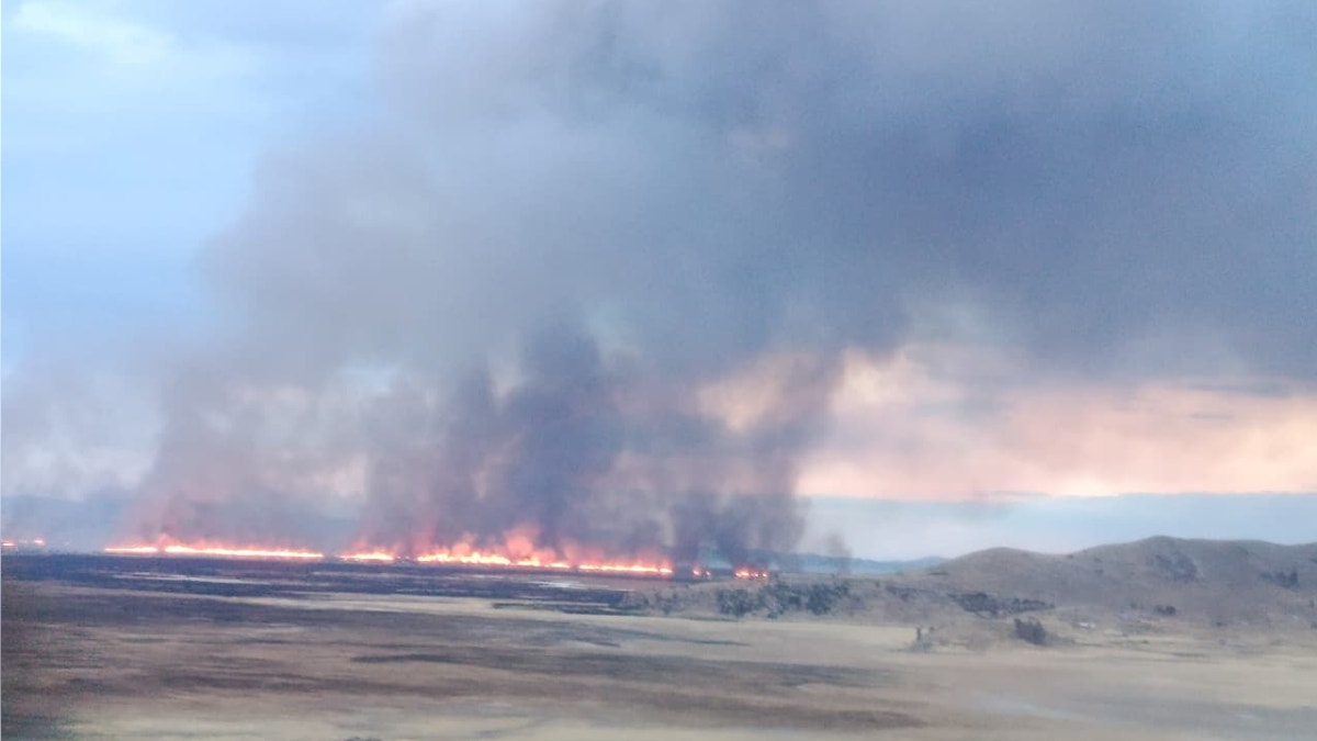 Puno: incendio se registra en totorales cerca de las islas de Los Uros [VIDEO]