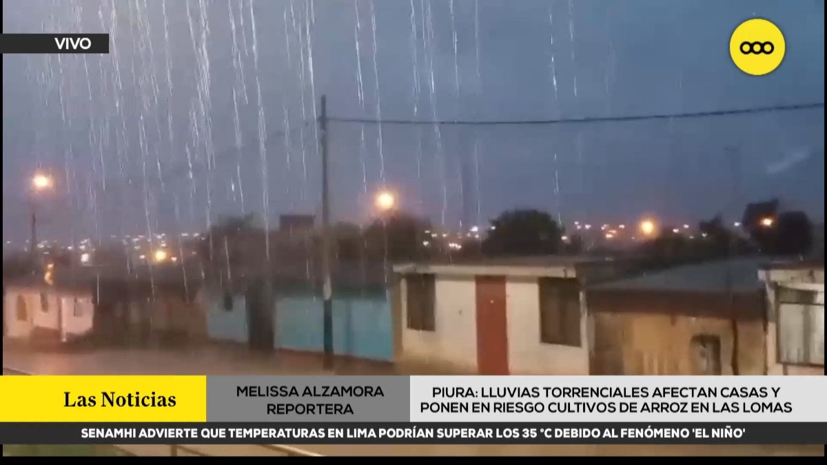 Lluvias torrenciales afectan viviendas y ponen en riego cultivos de arroz en distrito piurano de Las Lomas
