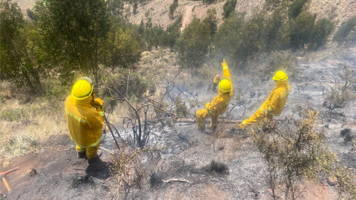 Mindef: Lluvias en la sierra y selva terminan de extinguir el fuego y el país no reporta incendios activos