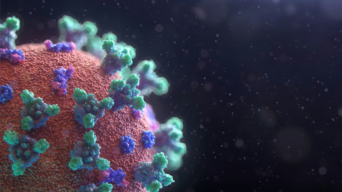 El Shamonda, un virus que da el salto al ser humano