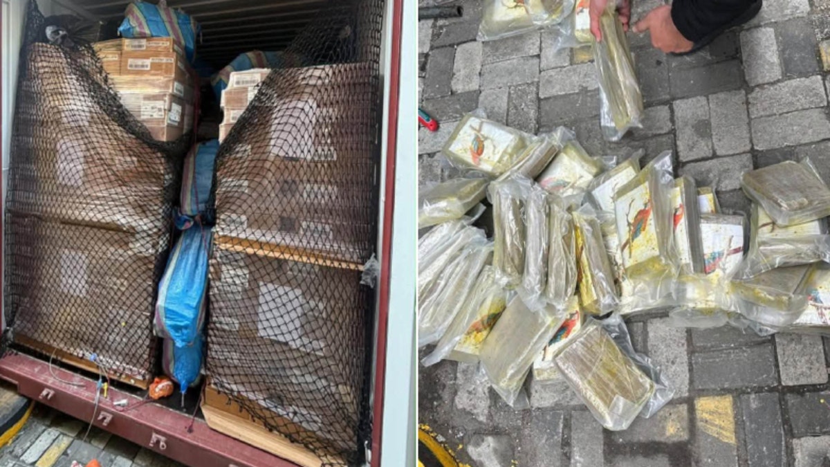 Decomisan en Ecuador 784 bloques de cocaína que tenían como destino final Francia